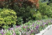 69 - Butchard Gardens  - IMG_1667